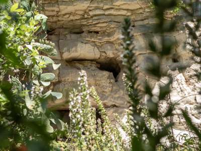 In basso a sinistra, coperte dalla vegetazione ci sono la grotta Ferdinando, una delle pi� grandi del Pulo e pi� in fondo la grotta Carolina. Sono dedicate a Ferdinando IV di Borbone e Maria Carolina d�Austria, regnanti borbonici